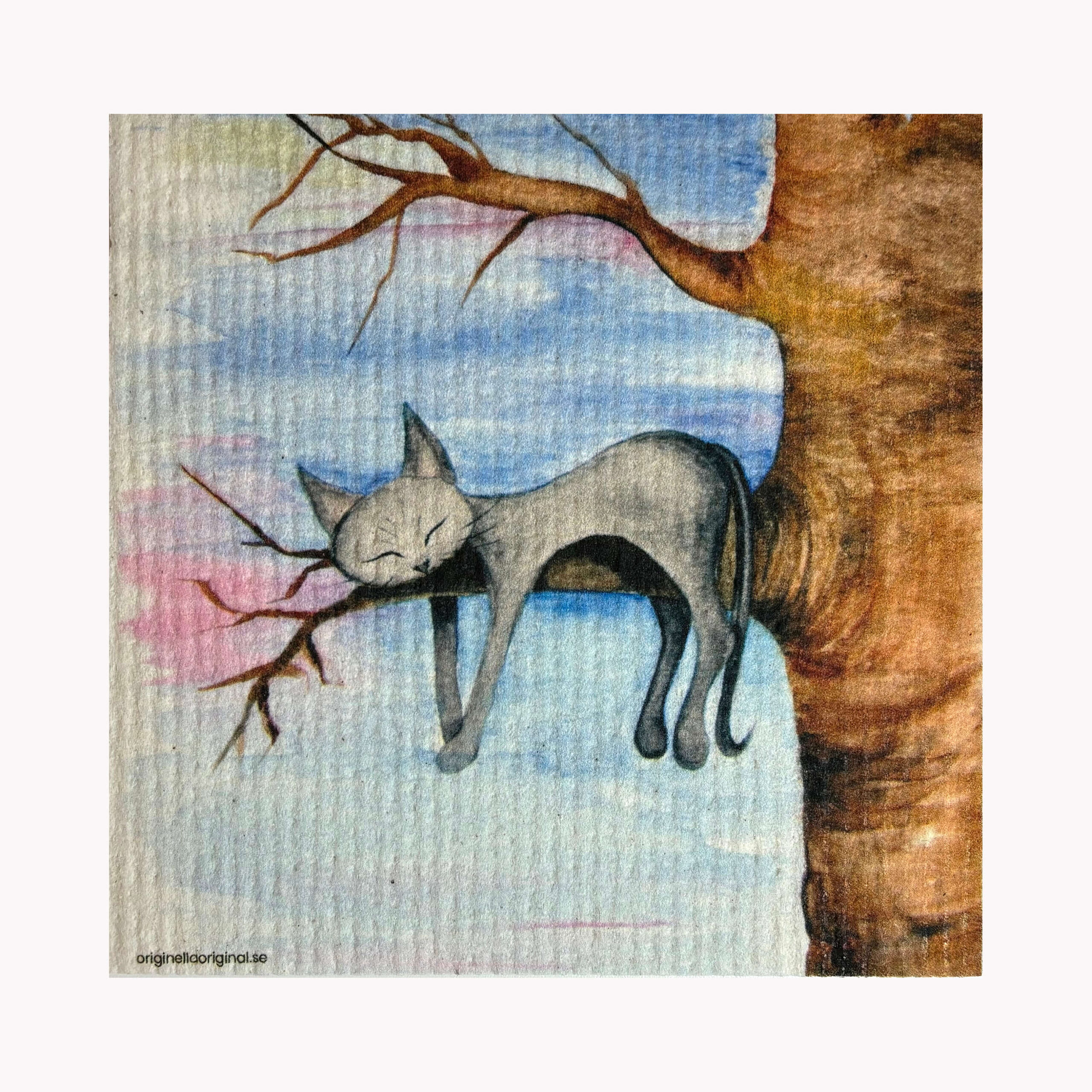 Disktrasa katt i vila